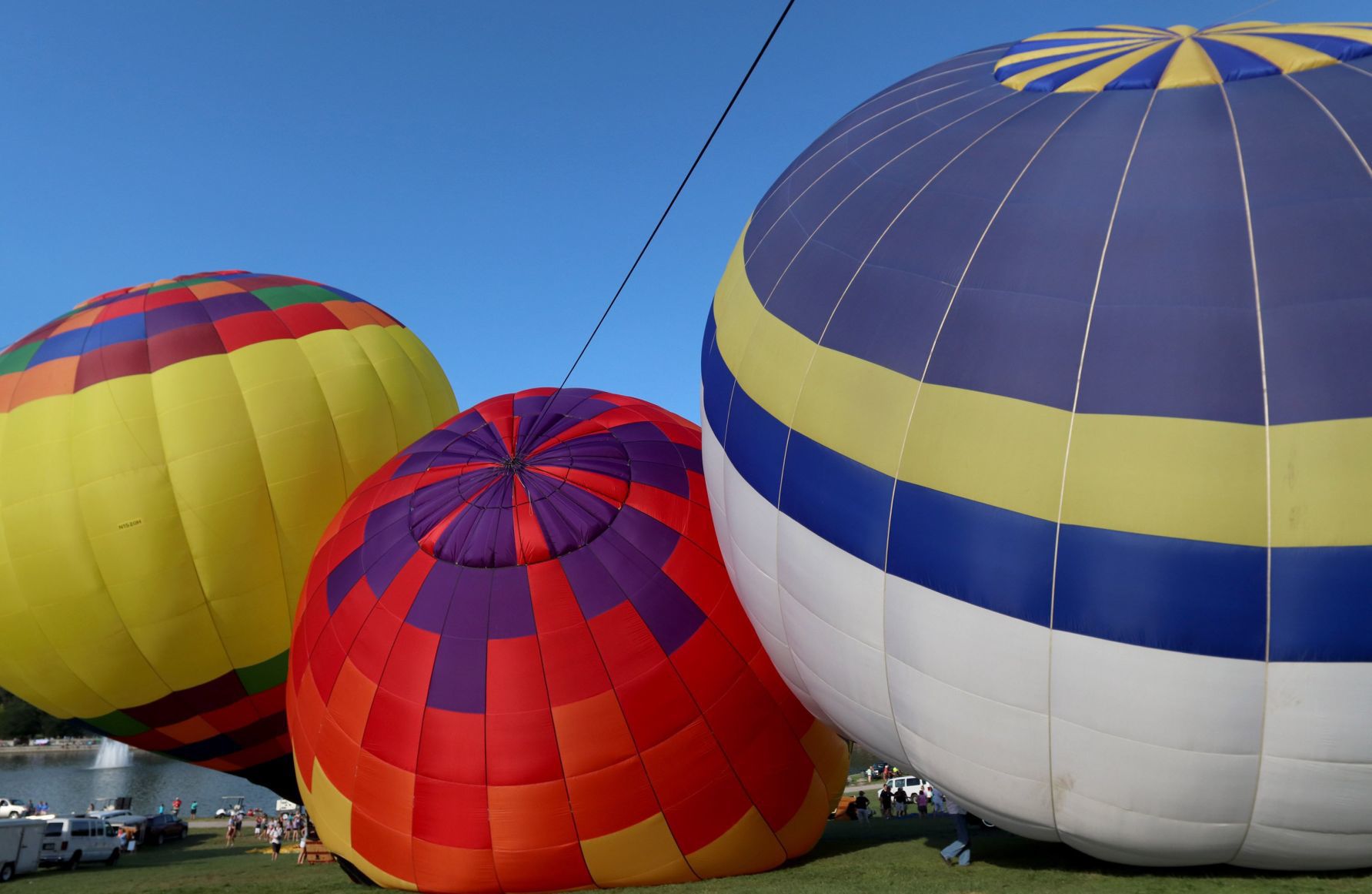The 46th annual Great Forest Park Balloon Race